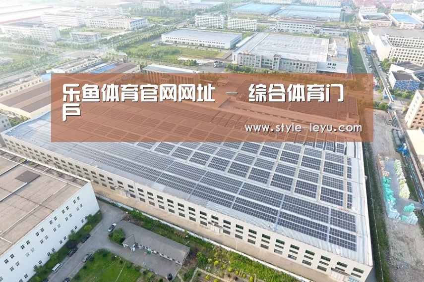 案例展示二
