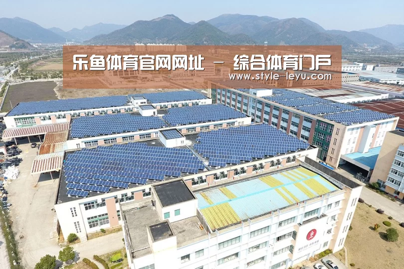 案例展示二