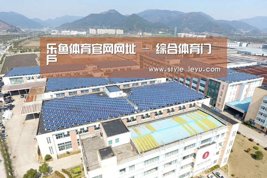 案例展示一