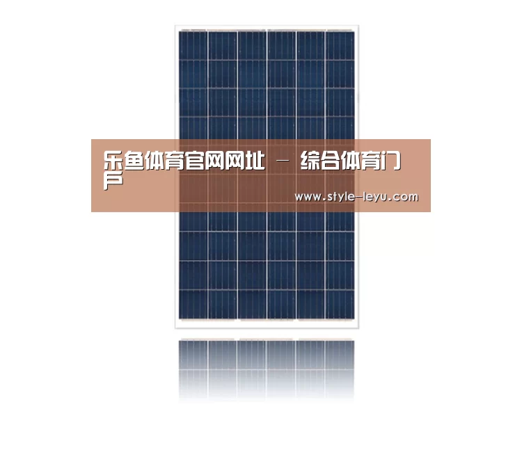 产品名称一