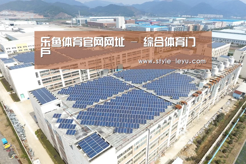 案例展示二