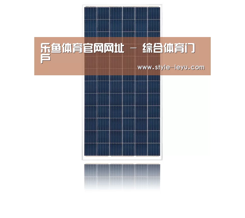 产品名称一