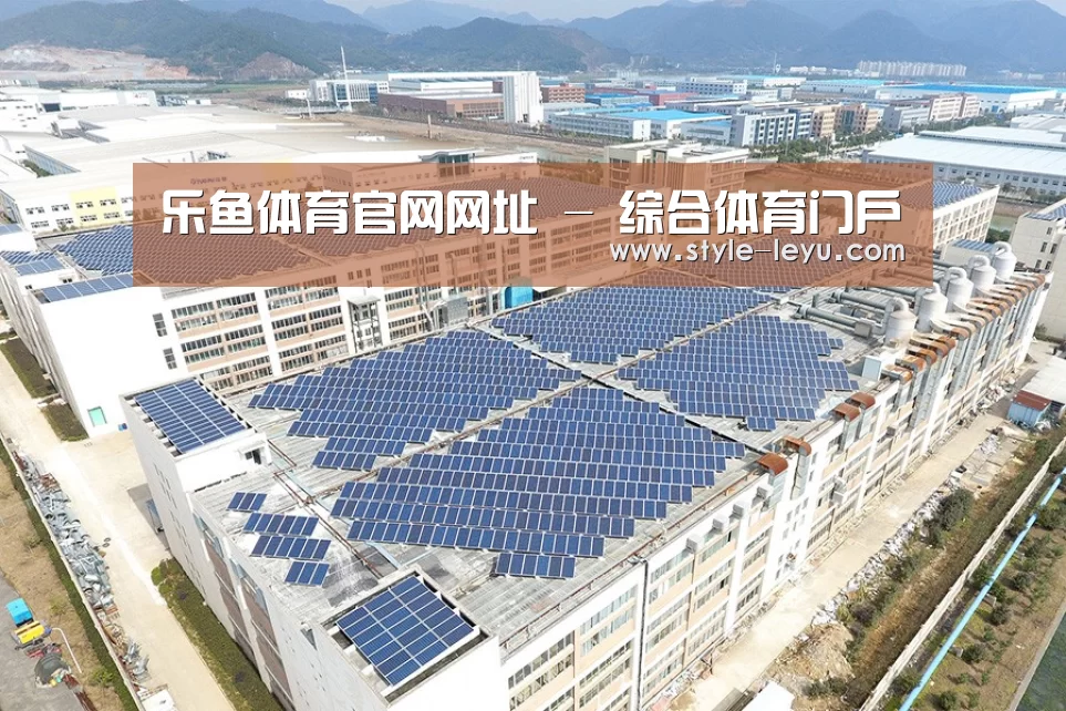 案例展示三
