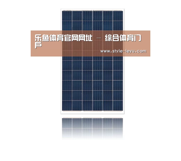 产品名称一