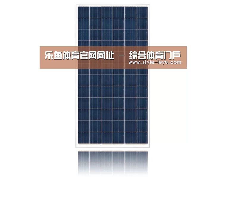 产品名称一