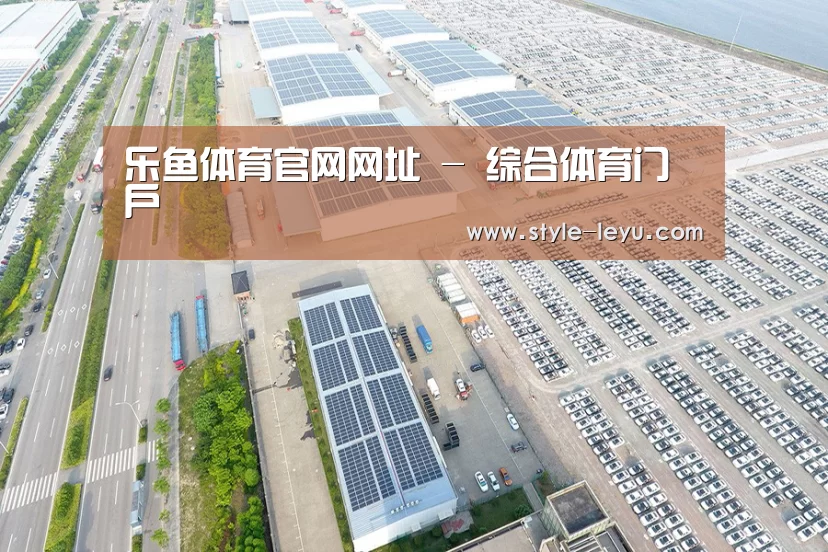 案例展示一