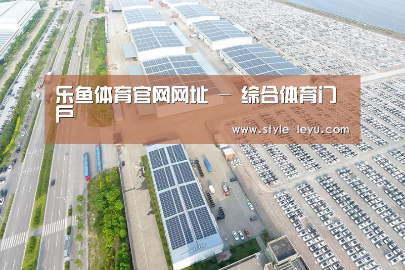 案例展示一