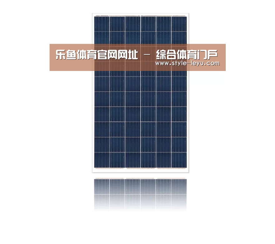 产品名称四