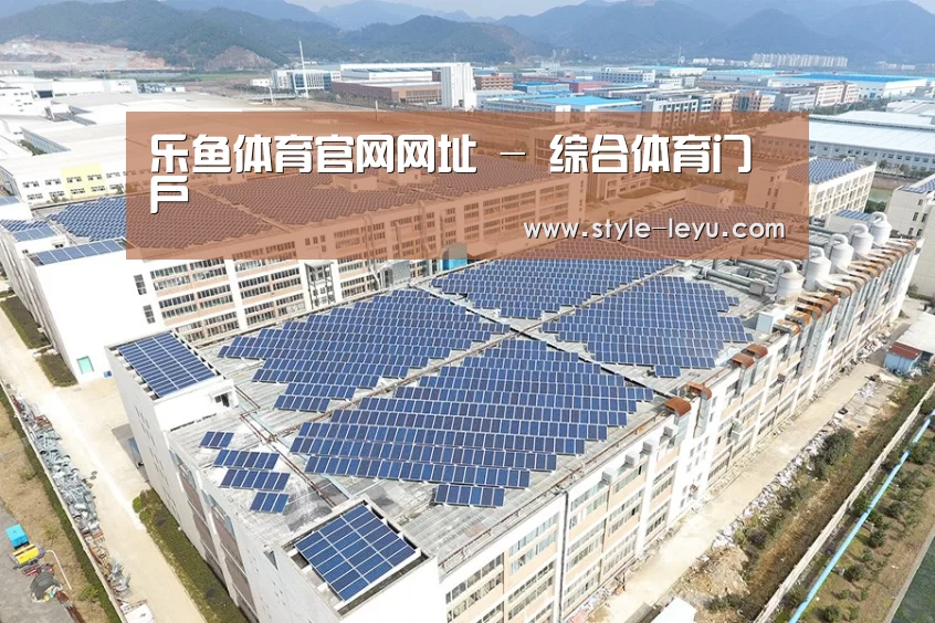 案例展示四