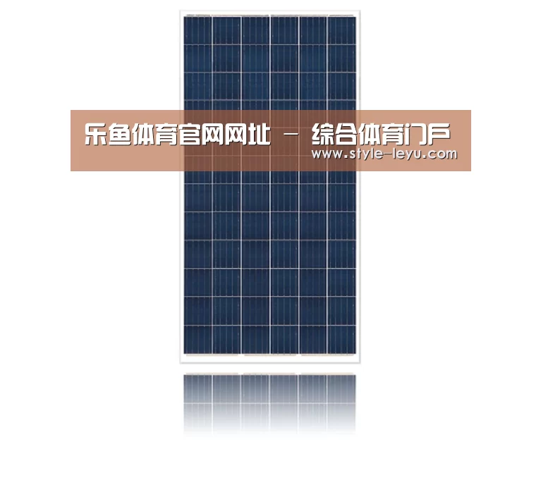 产品名称一