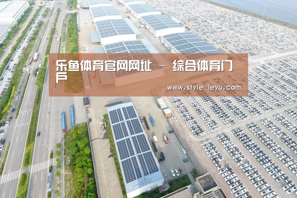 案例展示四
