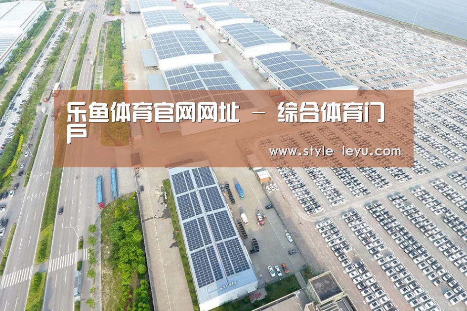 案例展示二