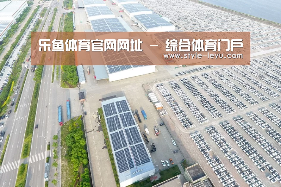 案例展示三