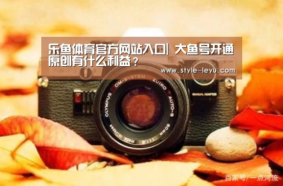 乐鱼体育官方网站入口