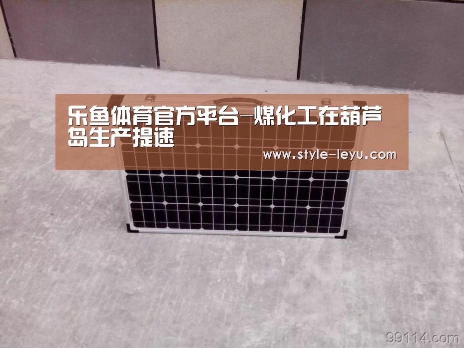 乐鱼体育官方平台