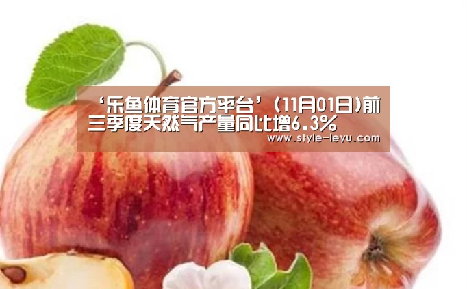 ‘乐鱼体育官方平台’(11月01日)前三季度天然气产量同比增6.3%(图4) 乐鱼体育官方网站入口
