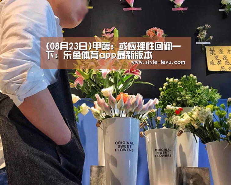 (08月23日)甲醇:或应理性回调一下:乐鱼体育app最新版本(图2) 乐鱼官网下载