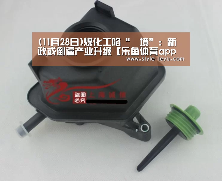(11月28日)煤化工陷“囧境”:新政或倒逼产业升级【乐鱼体育app最新版本】(图4) 乐鱼体育app最新版本