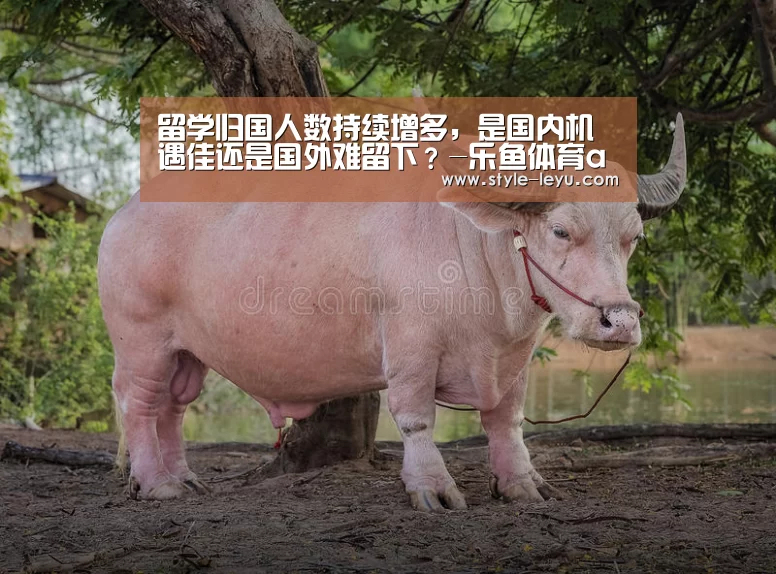 留学归国人数持续增多,是国内机遇佳还是国外难留下?-乐鱼体育app最新版本(图1) 乐鱼体育app最新版本