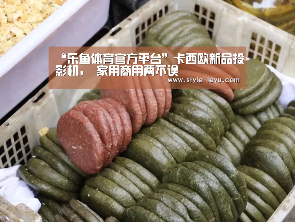 “乐鱼体育官方平台”卡西欧新品投影机, 家用商用两不误(图4) 乐鱼体育官方平台
