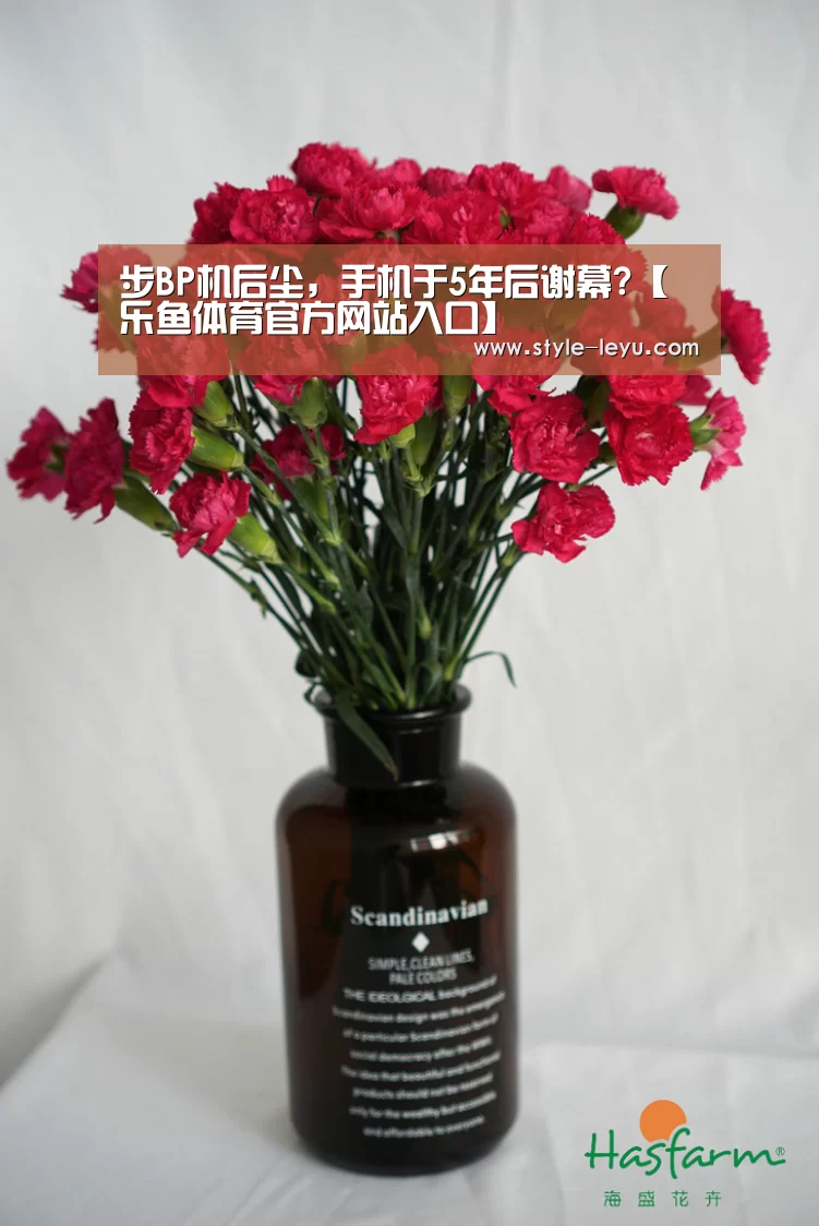 步BP机后尘,手机于5年后谢幕?【乐鱼体育官方网站入口】(图1) 乐鱼官网下载