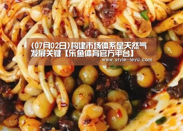 (07月02日)构建市场体系是天然气发展关键【乐鱼体育官方平台】(图1) 乐鱼官网下载