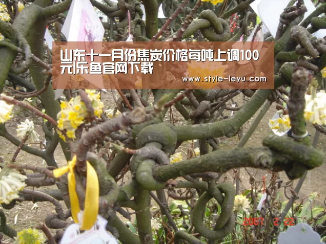 山东十一月份焦炭价格每吨上调100元|乐鱼官网下载(图2) 乐鱼体育官方网站入口